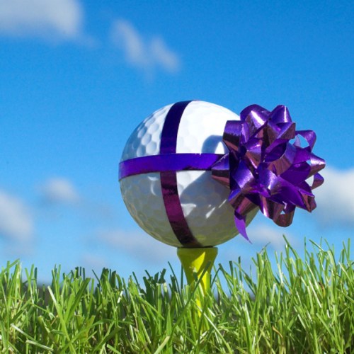 2026 Lake Bluff Restricted Ten Play Pass